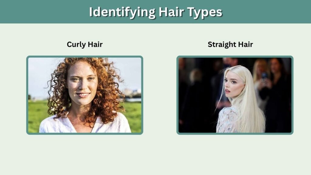 Identifying Hair Types