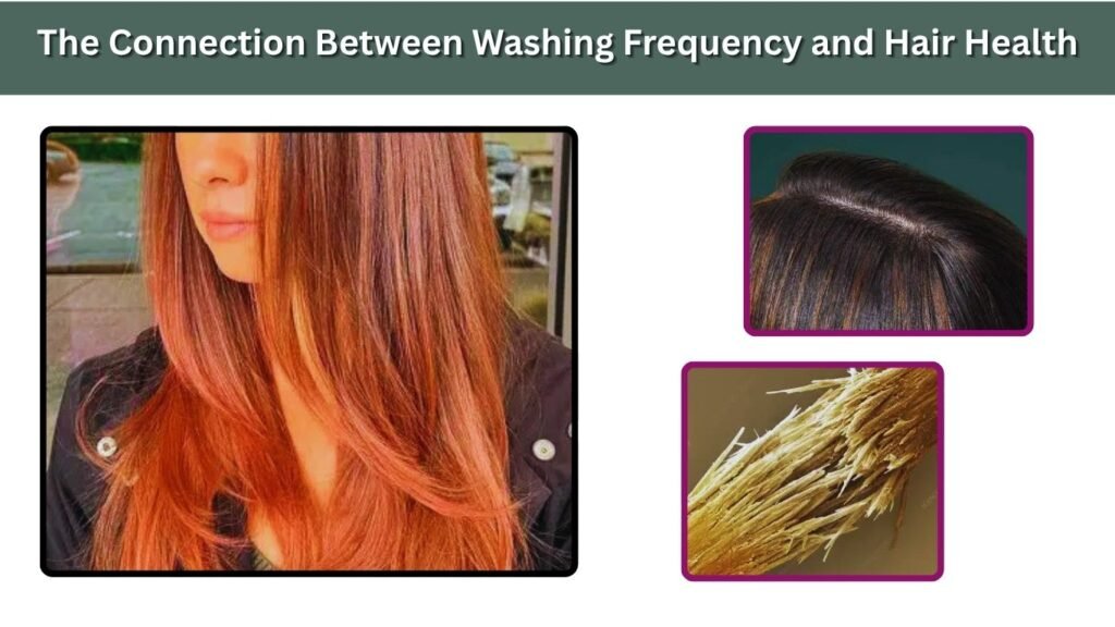 The Connection Between Washing Frequency and Hair Health